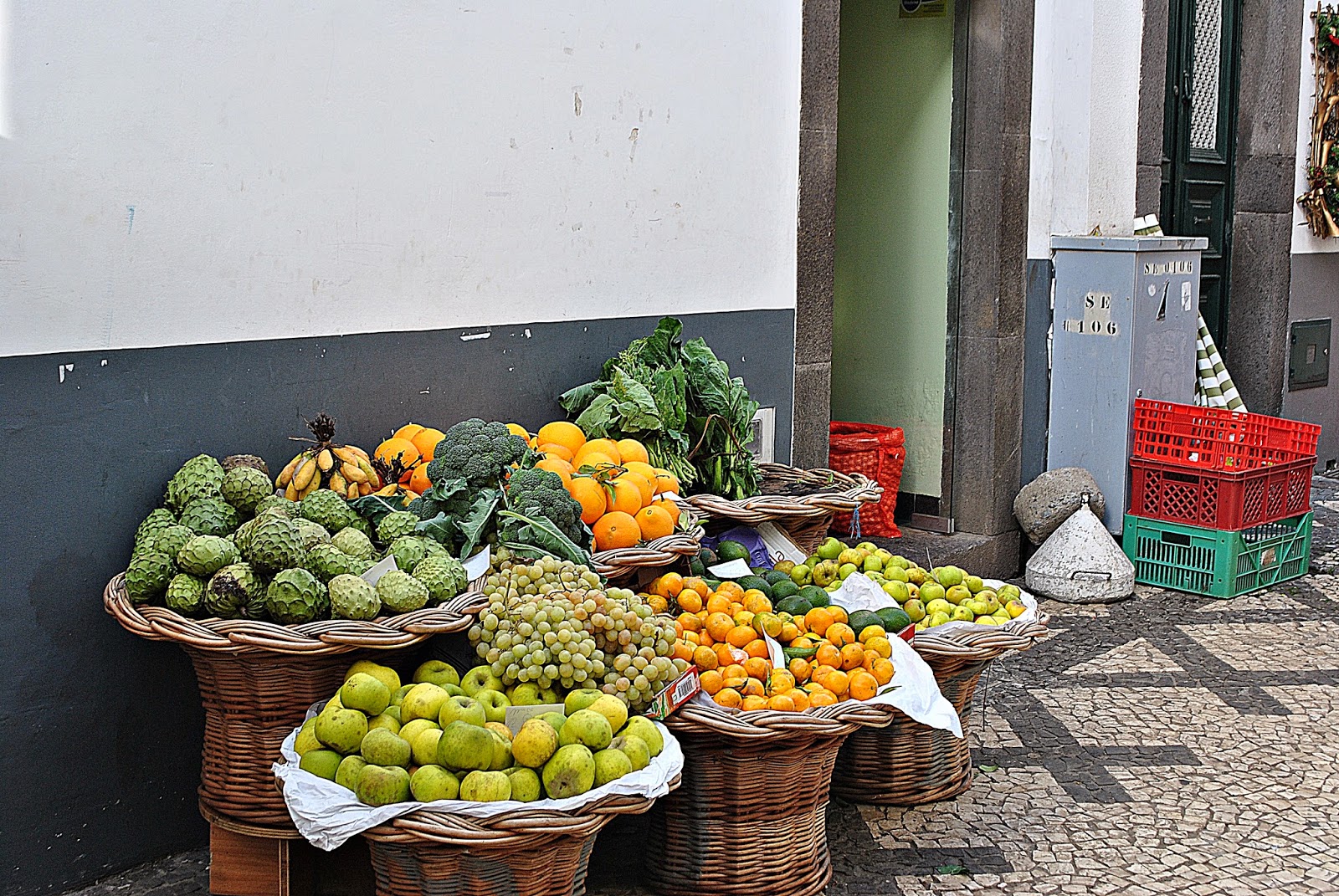 FUNCHAL - MADERA GRUDZIEŃ 204