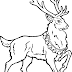 Coloring Pages For Xmas