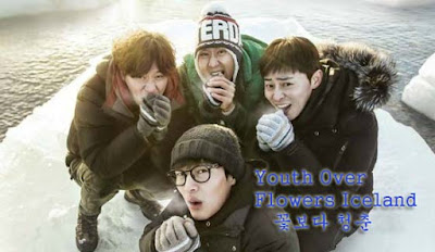 Youth Over Flowers Iceland