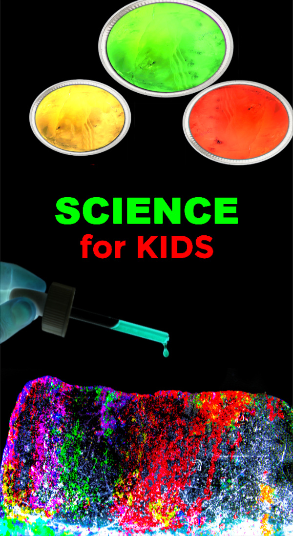 Learn about corrosion and the freezing point of water with the glowing ice and salt experiment for kids!  This experiment makes science fun and is sure to engage children of all ages. #iceexperimentsforkids #glowingicecubes #glowingiceexperiment #iceandsaltexperiment #iceandsalt #glowingexperiments #glowingice #scienceexperimentskids #growingajeweledrose