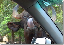 car wash