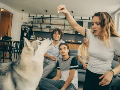 Cheerful family with Husky  by VioletaStoimenova