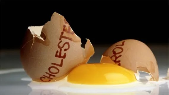 egg cholesterol myth egg cholesterol myth