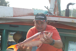 spot mancing ruby snapper di padang