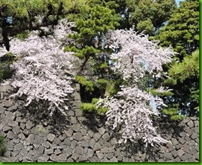 DSCN4844