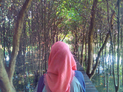 mangrove Wonorejo Surabaya