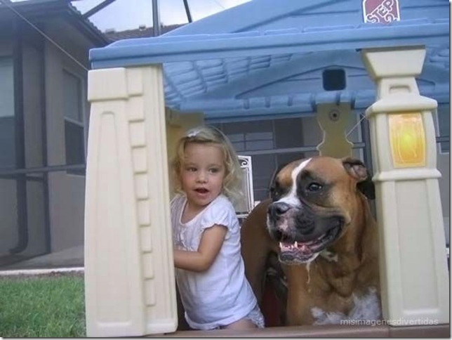 1 - niños con perros misimagenesdivertidas  (31)