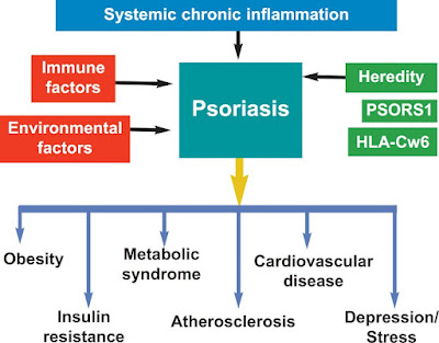 Psoriasis and its associations to systemic diseases of a chronic inflammatory nature