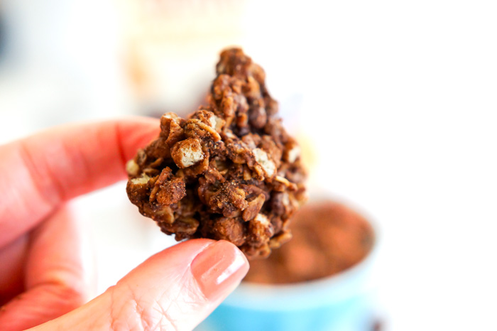 Trader Joe's Peanut Butter Chocolate Granola, large chunk in hand