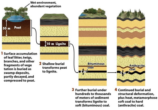 Classification of coal