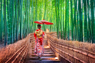 Honeymoon Trip to Japan arashiyama