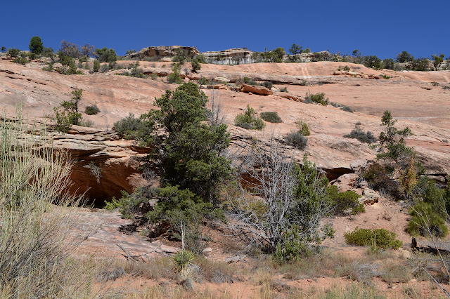 canyon colors and layers