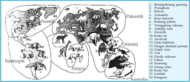 Persebaran Tumbuhan dan  Hewan  Ilmu Pengetahuan