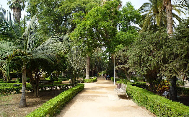 Parque de Málaga, park w centrum Malagi, Hiszpania