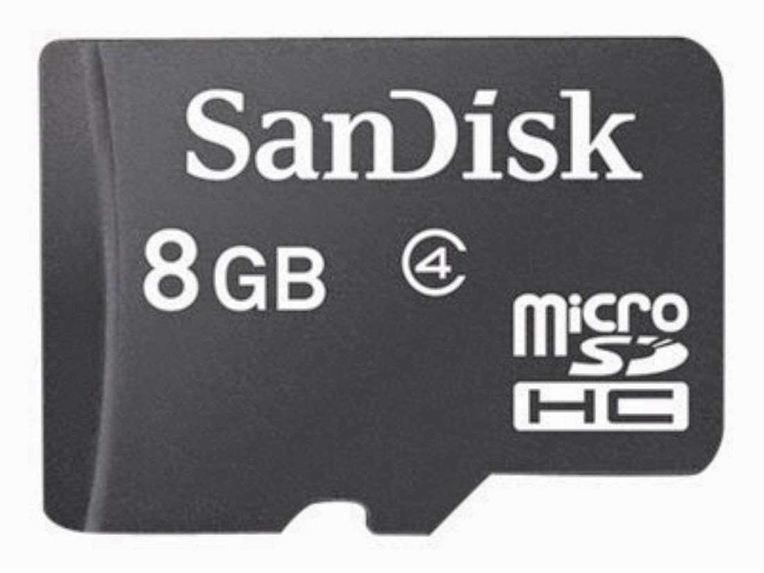 SanDisk 8GB Class 4 microSDHC Memory