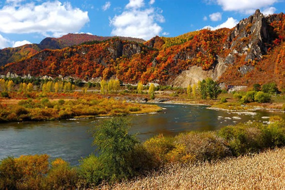 Changbai Mountain Mixed Korean Pine and Broadleaf Forest