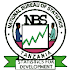 300 Temporary Jobs at National Bureau of Statistics (NBS)