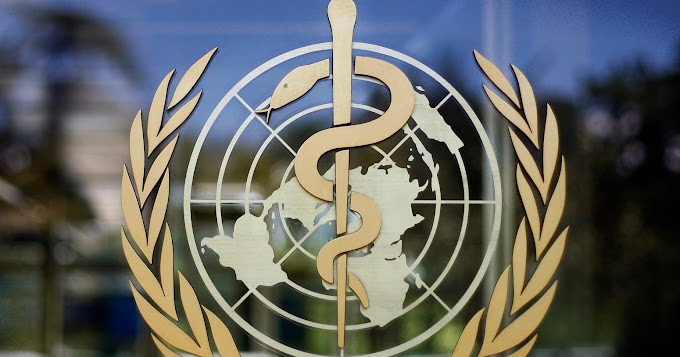 Chinese experts briefed the WHO on the eve of the outbreak || official media played down the severity of the epidemic