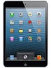 iPad mini Wi-Fi 16GB