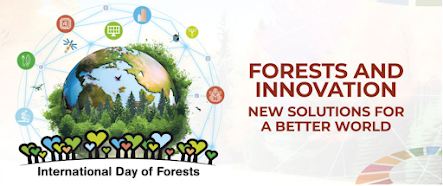 Forests and innovation, New solutions for a better world