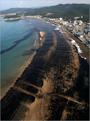 Oil Ship Accident, South Korea Effect on Birds 2008