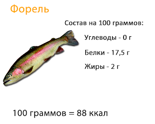 написаны белки жиры углеводы и калории в 100 граммах форели