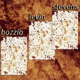 Bozzio-Levin-Stevens-Situation-Dangerous-mp3