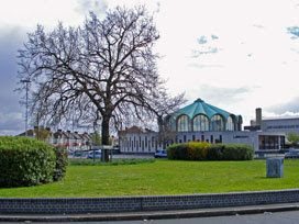 new Fairlop Oak