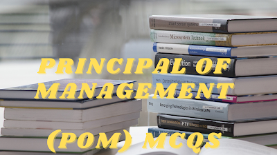 Principle of Management Mcqs