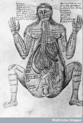 old books - human body illustration