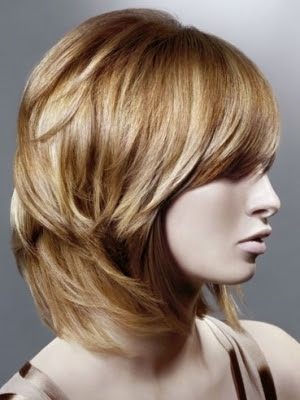 Layers Hair Salon, Long Hairstyle 2013, Hairstyle 2013, New Long Hairstyle 2013, Celebrity Long Romance Romance Hairstyles 2062