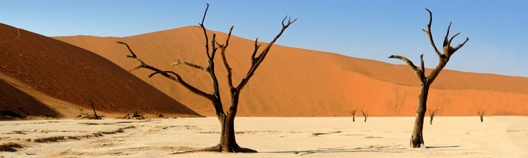 La Namibie