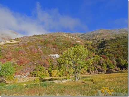 Provo Canyon Fall Colors