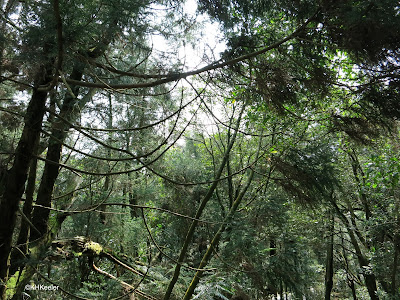 Yangmingshan Park, Taiwan