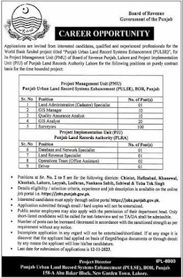 Revenue Department Punjab Jobs 2023 | Job Application Procedure