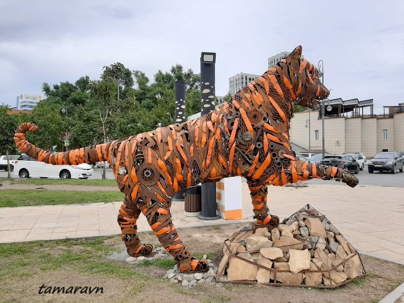 Тигр на набережной Спортивной гавани