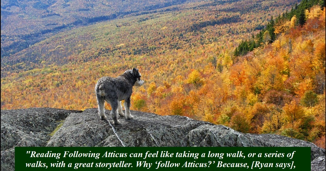 Following Atticus Fortyeight High Peaks One Little Dog and an
Extraordinary Friendship Epub-Ebook