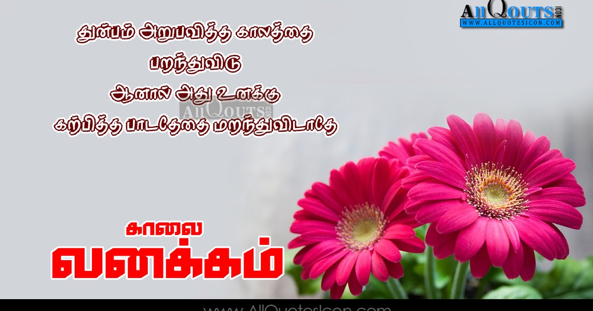 Happy Good Morning Tamil Quotes Wallpapers for Whatsapp 