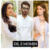 DIL-e-MOMIN cast