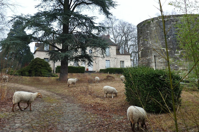 Luzarches en photo château de la Motte