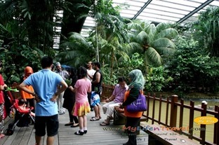 Langkawi Wildlife Park