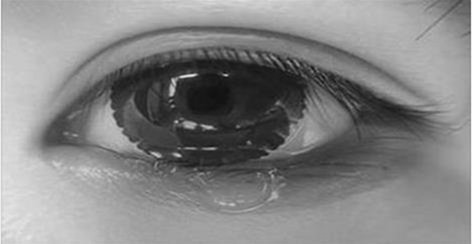 clip_image001