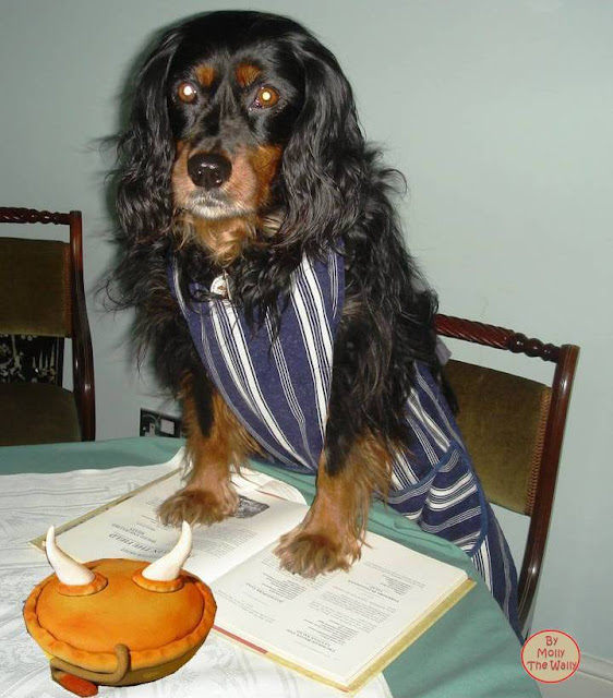 Molly The Wally The Chef. A spot of cooking.