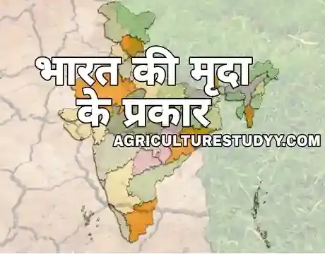 मृदा के प्रकार, types of soil in hindi, भारत में कितने प्रकार की मृदाएं पाई जाती है, मिट्टी कितने प्रकार की होती है, जलोढ़ मृदा क्या है, लवणीय मृदाएं,