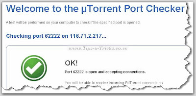 Port-Open-confirmation