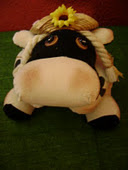 Sal de la vaquita