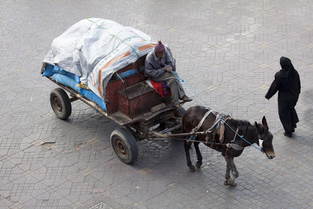 Carretto ambulante con cavallo-Piazza Djemaa El Fna-Marrakech