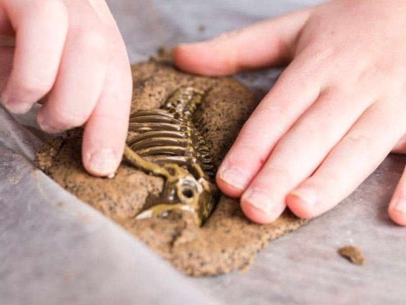 child pushing dinosaur figurine into dough to make fossil