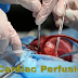 BS CARDIAC PERFUSION IN PAKISTAN