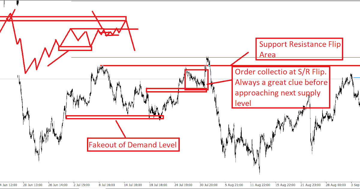 how much does a beginner forex trader make